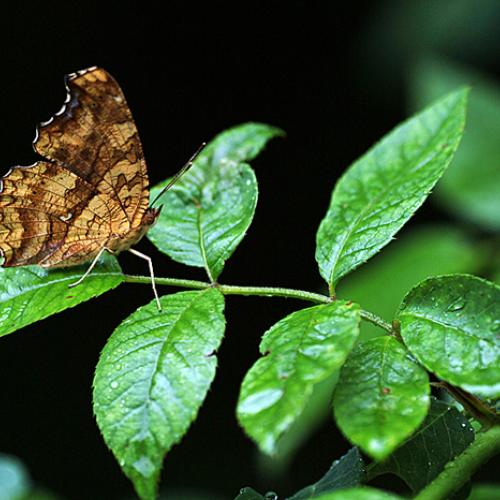 오늘 아침엔194탄