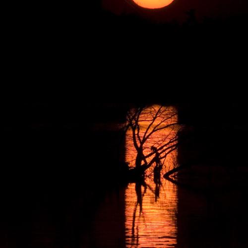 저도 탑정입니다.