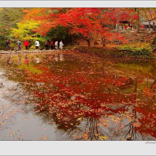 백양사 가는 길