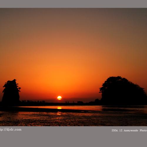 아름다운 안면도