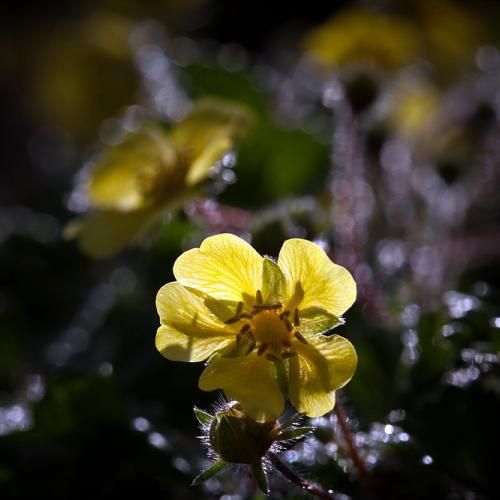 수목원에 갔다가...