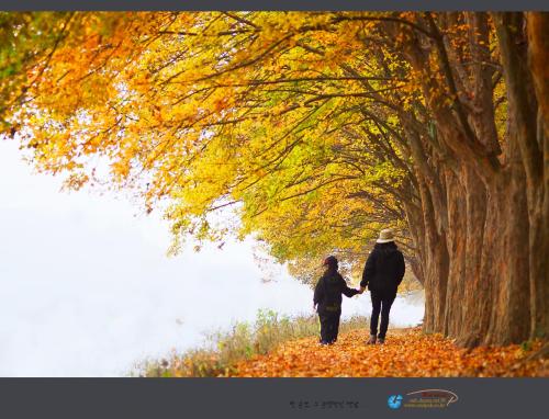 가을 여행