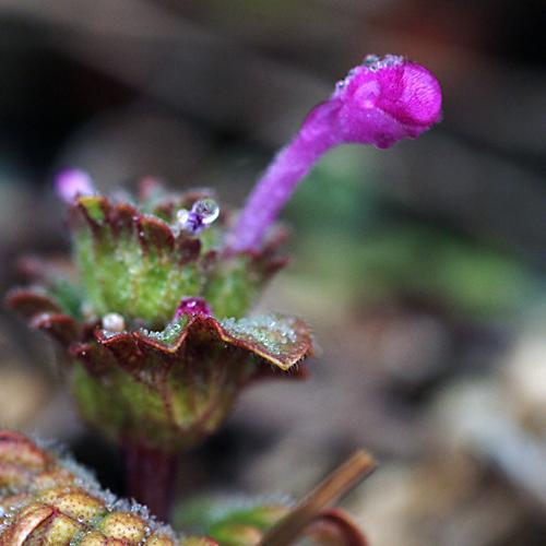 오늘 아침엔145-2탄