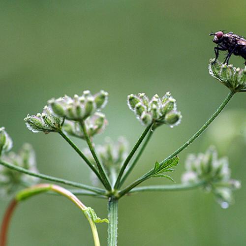 오늘 아침엔194-2탄