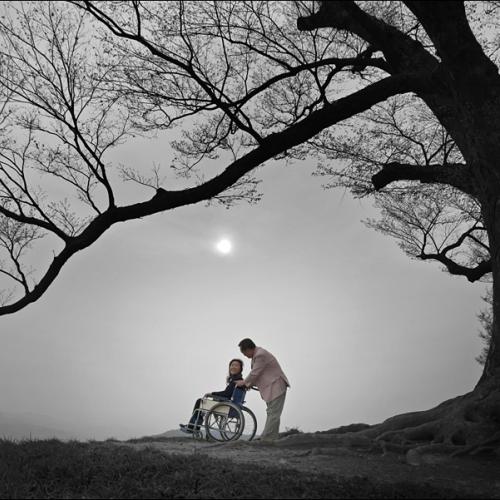 Like a bridge over troubled water