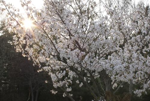 역광에서 사진찍기 넘 어려워요~
