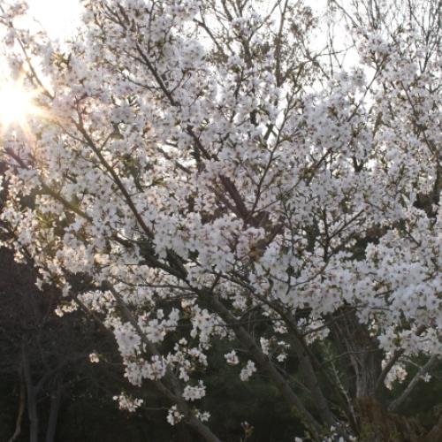 역광에서 사진찍기 넘 어려워요~