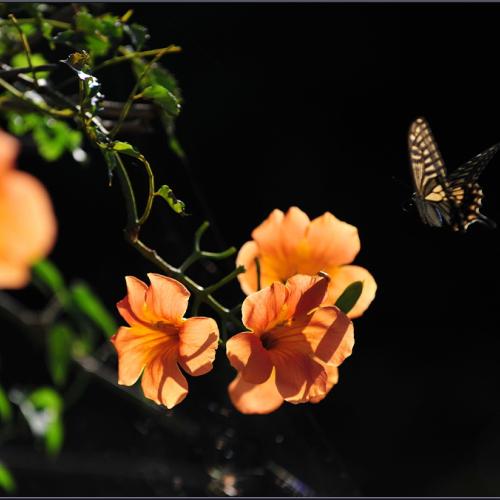 여름의 끝자락에서