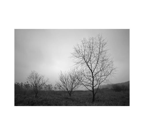 흐린날의 대청호..