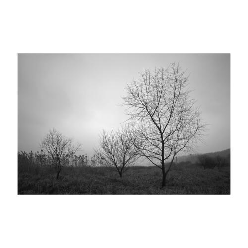 흐린날의 대청호..