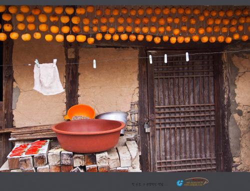 감이 전하는 이야기...