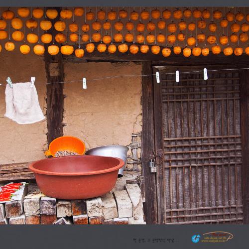 감이 전하는 이야기...