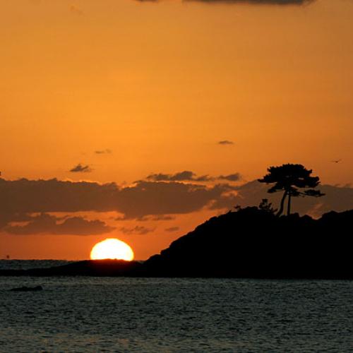 태양과 바다가 헤어지는 순간(8장)