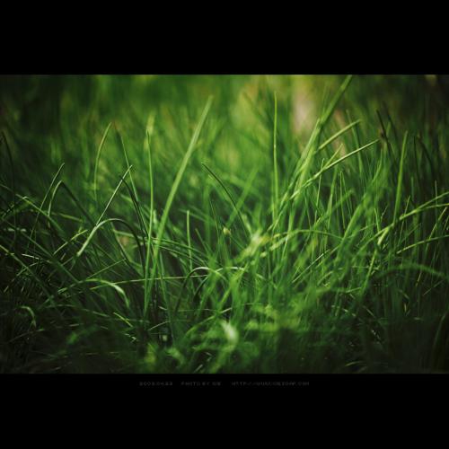 10m안의 대조적 분위기....