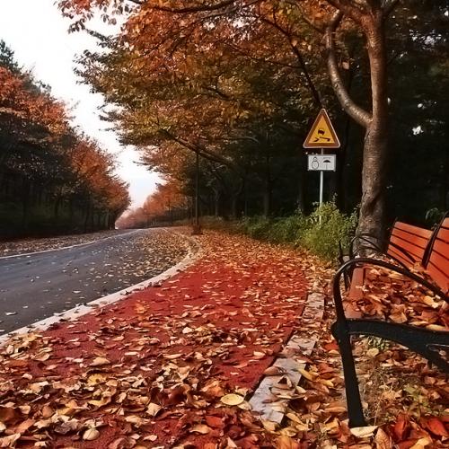 의자가 있는 풍경,,