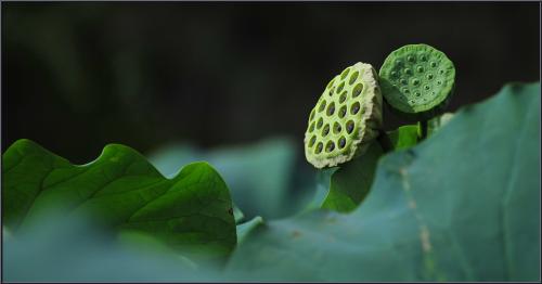 내가 보낸 것도 아닌데...