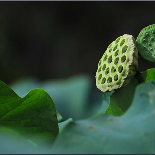 내가 보낸 것도 아닌데...