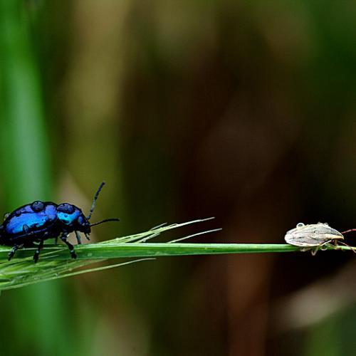 오늘 아침에194-3탄