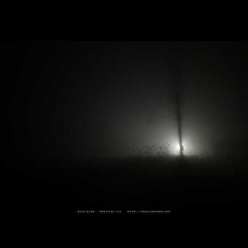 밤안개와 철길 그리고 갈대