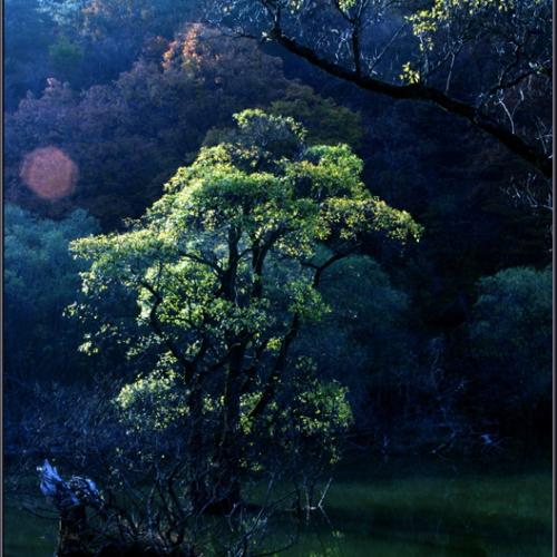 다음에 가면 과연 날씨가 협조할까요?