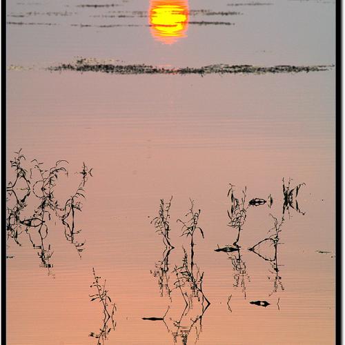 탑정 저수지 일몰...#2