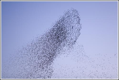 당신이 최고입니다..
