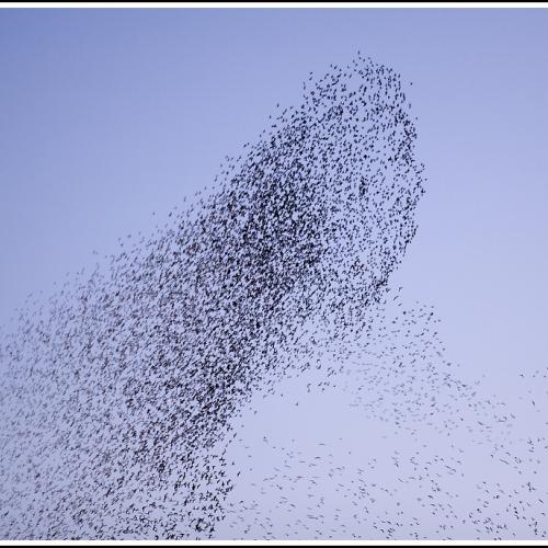 당신이 최고입니다..