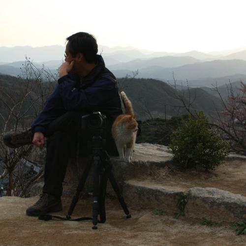 오내사님과 고양이..