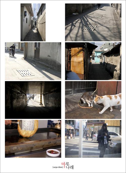 늦은후기_대전 골목길 투어中