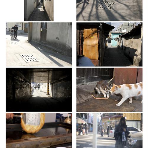 늦은후기_대전 골목길 투어中
