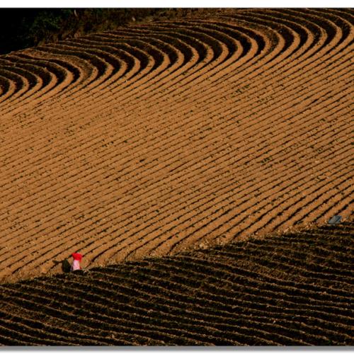 안반덕의 저녁 빛