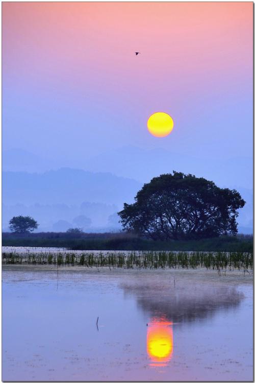 우포의 새벽 소경