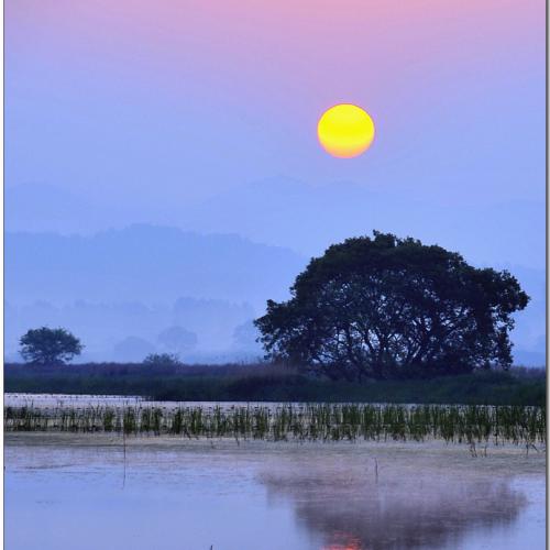 우포의 새벽 소경