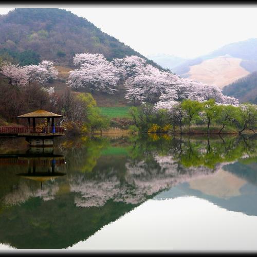 서산용비지의 오늘아침입니다