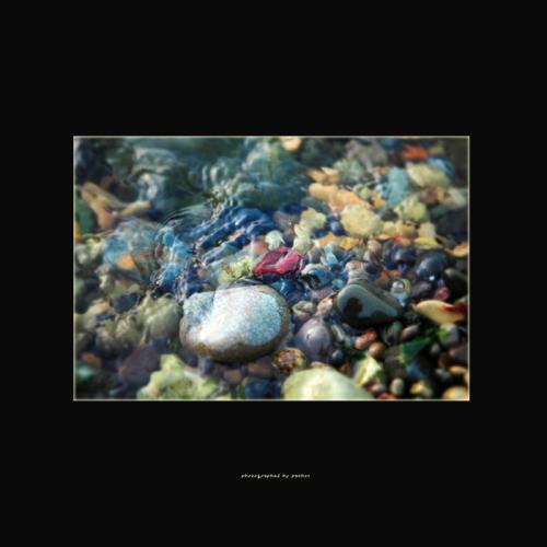 다양성에 대한 단상(短想)