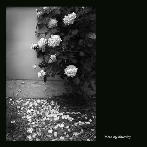 즐거운 출사였습니다