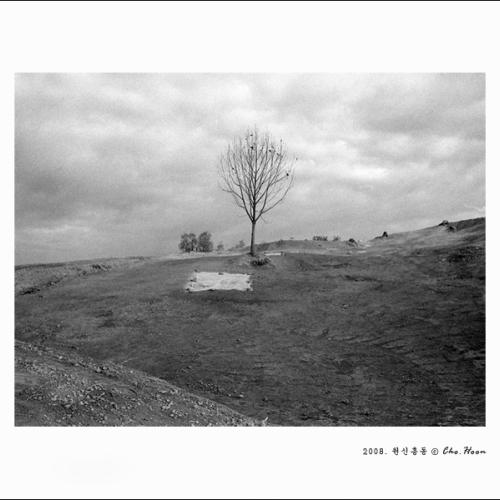 가만히 바라보기