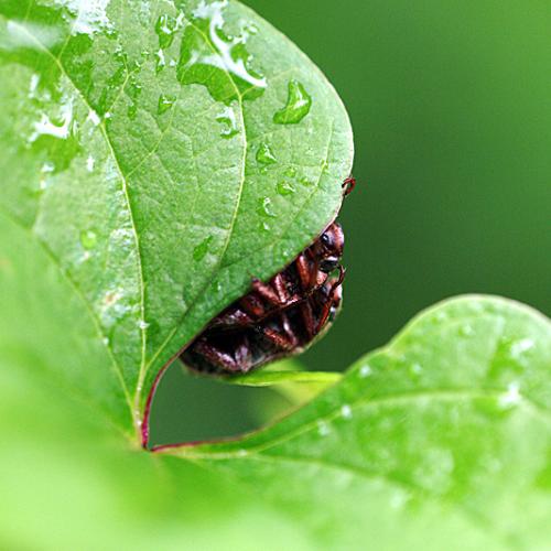 오늘 아침엔195탄