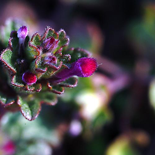 오늘 아침엔146-2탄