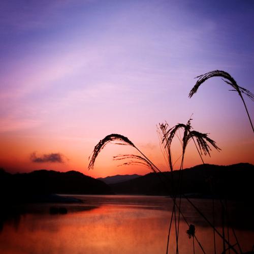 내 사랑 대청호