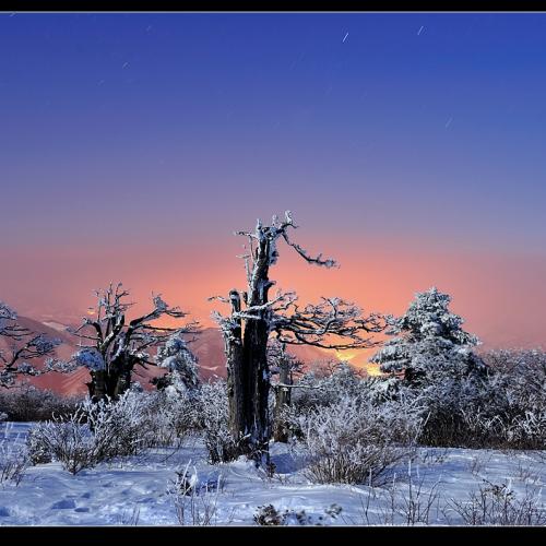 태백에서 맞이한 새벽....