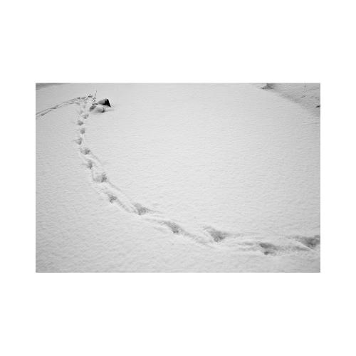 대청호를 못 벗어나다.. ㅋ~