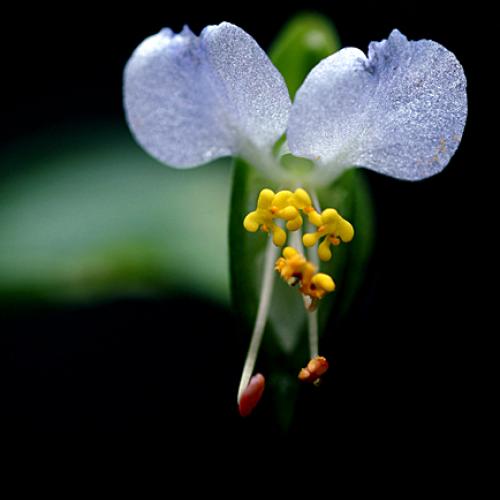 오늘 아침엔196탄