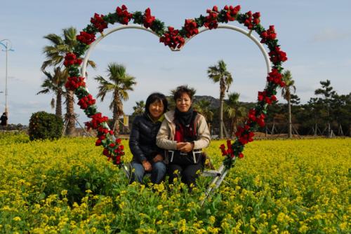 제주 유채밭에서...