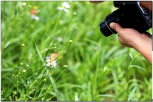 식지 않은 열정...