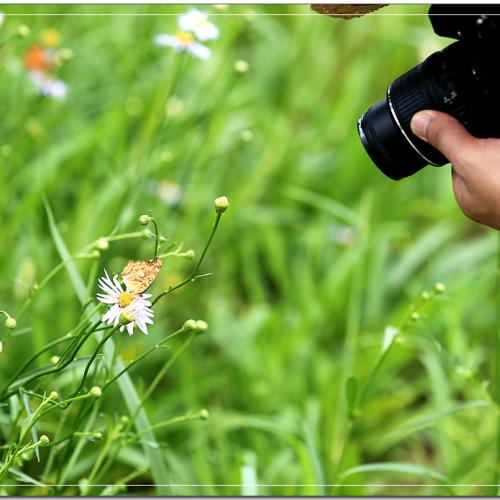 식지 않은 열정...