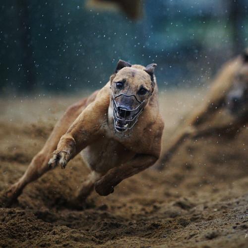 첫 포스팅 해봅니다...