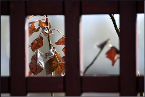 봄이 보이는 창