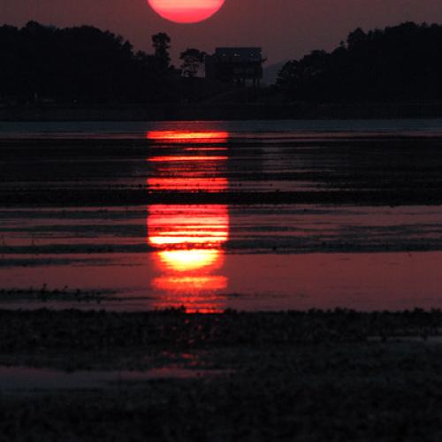 오늘 탑정은.....