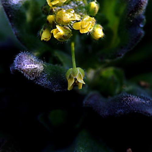 오늘 아침엔146-3탄